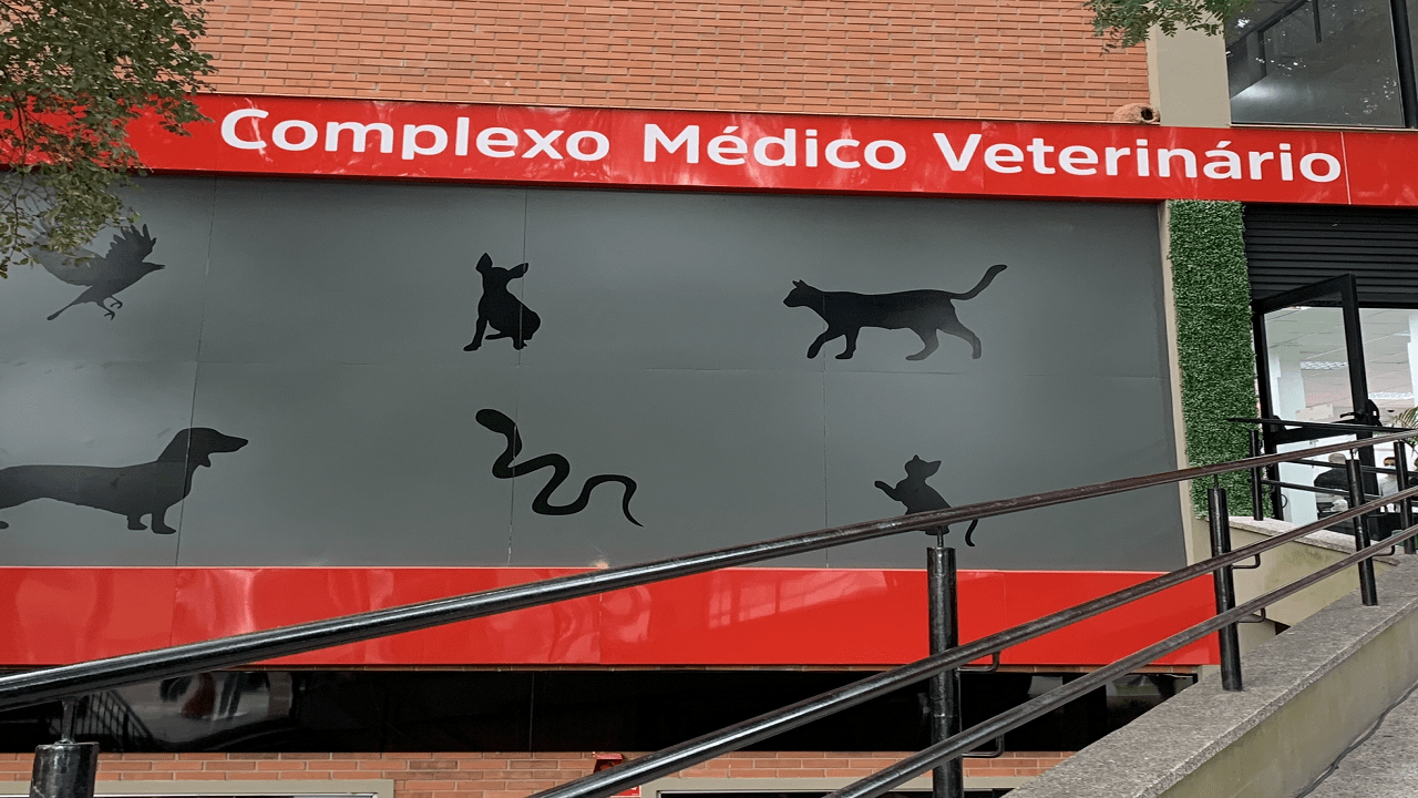 Complexo Médico Veterinário da UniRitter oferece novos valores para a comunidade de Porto Alegre